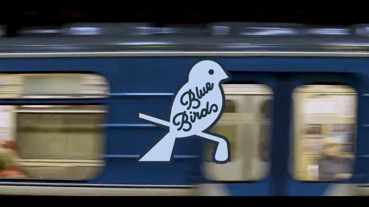 NY Blue Birds
